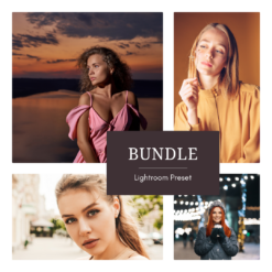 Blushlinen + Coppershade + Everdusk + Frostlume — Presets Bundle